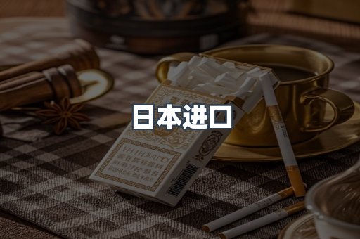 日本进口